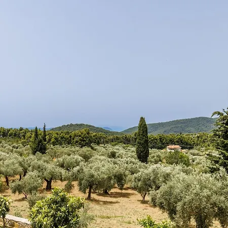 Skopelos Sunset Traditional Holiday home Panormos (Skopelos)
